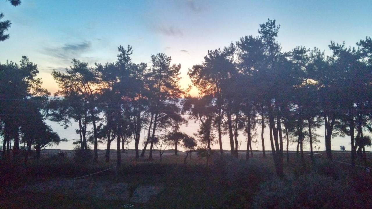 Nisteri Seaside Appartement Limenas  Buitenkant foto