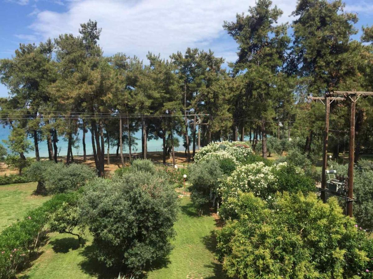 Nisteri Seaside Appartement Limenas  Buitenkant foto